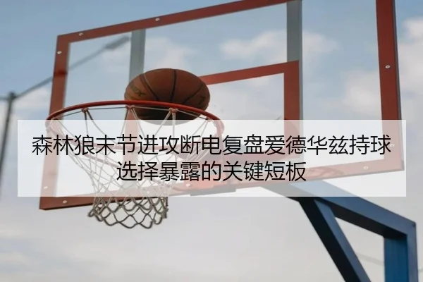 森林狼末节进攻断电复盘爱德华兹持球选择暴露的关键短板