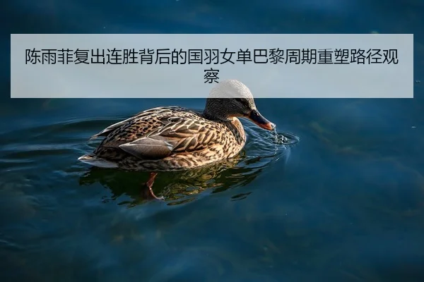 陈雨菲复出连胜背后的国羽女单巴黎周期重塑路径观察